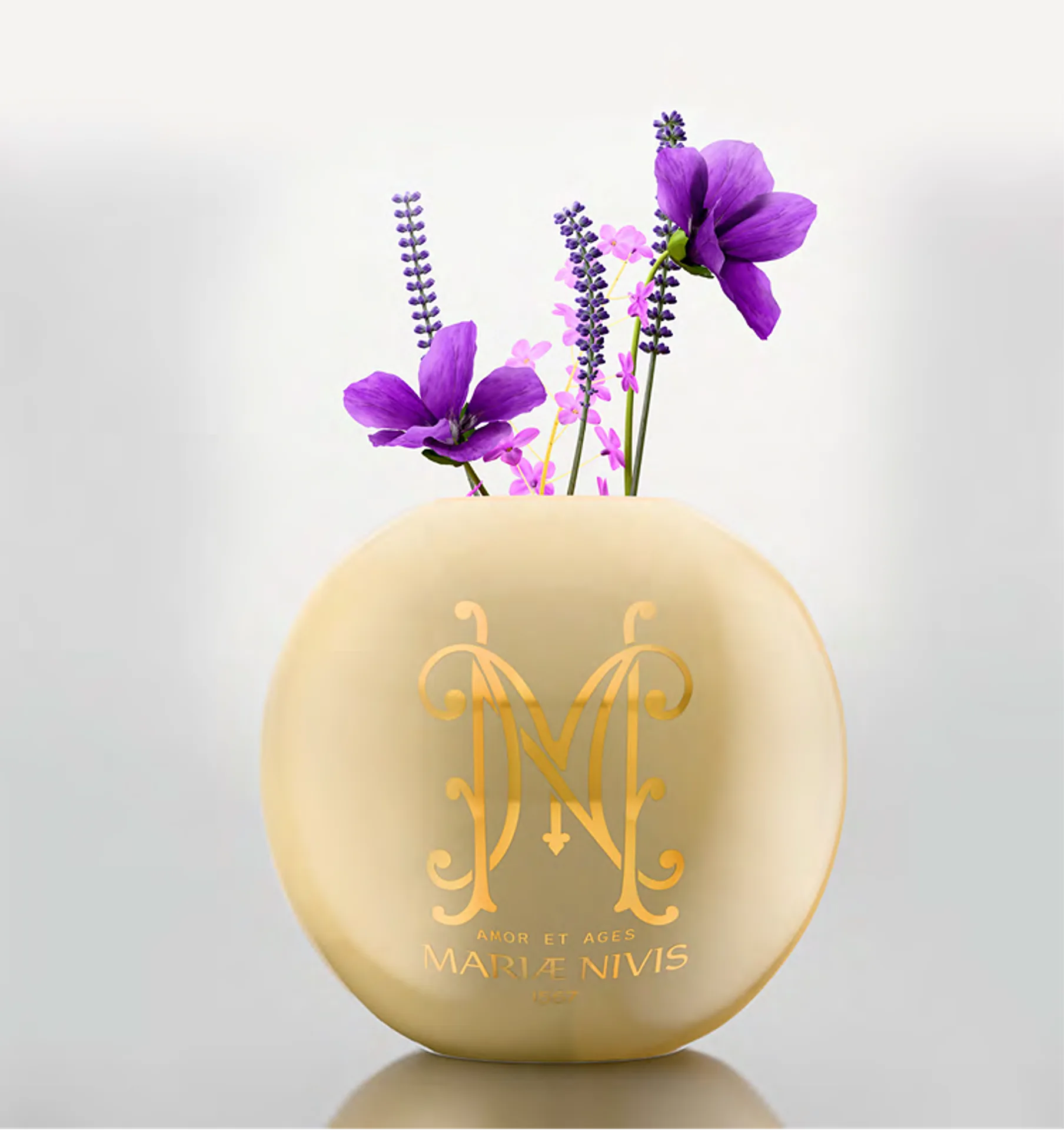 Mariae Nivis — Still Life 3D